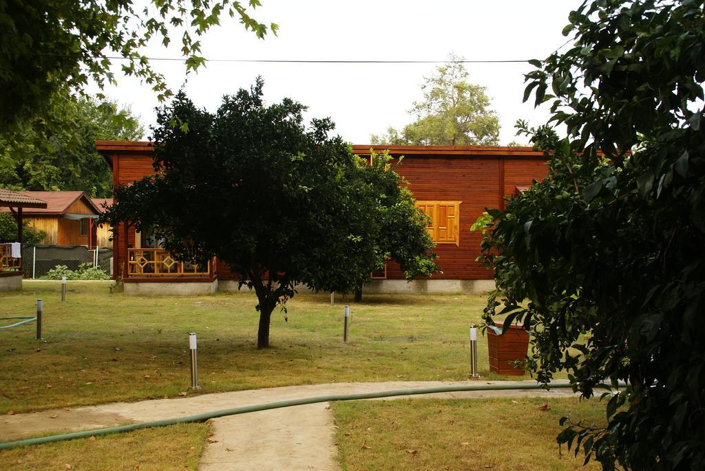 Maji Village Çıralı Exteriér fotografie