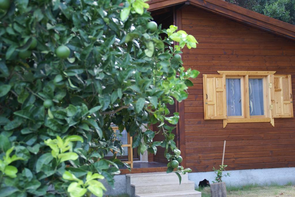 Maji Village Çıralı Exteriér fotografie