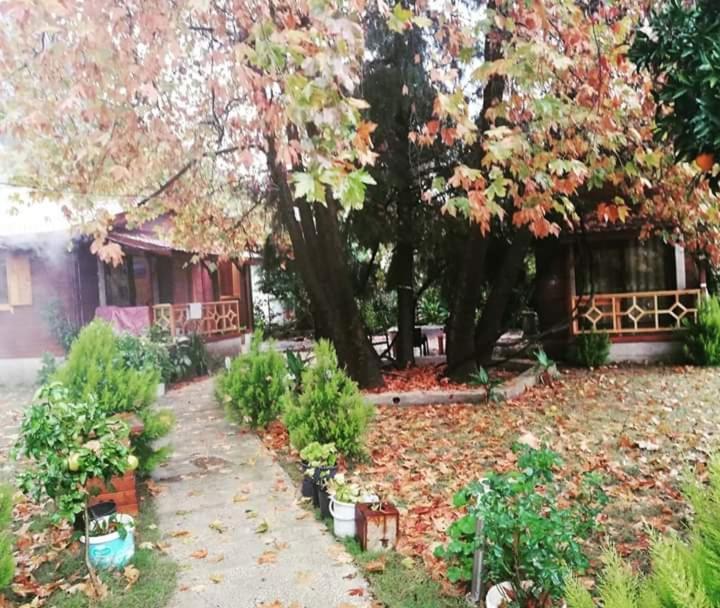 Maji Village Çıralı Exteriér fotografie