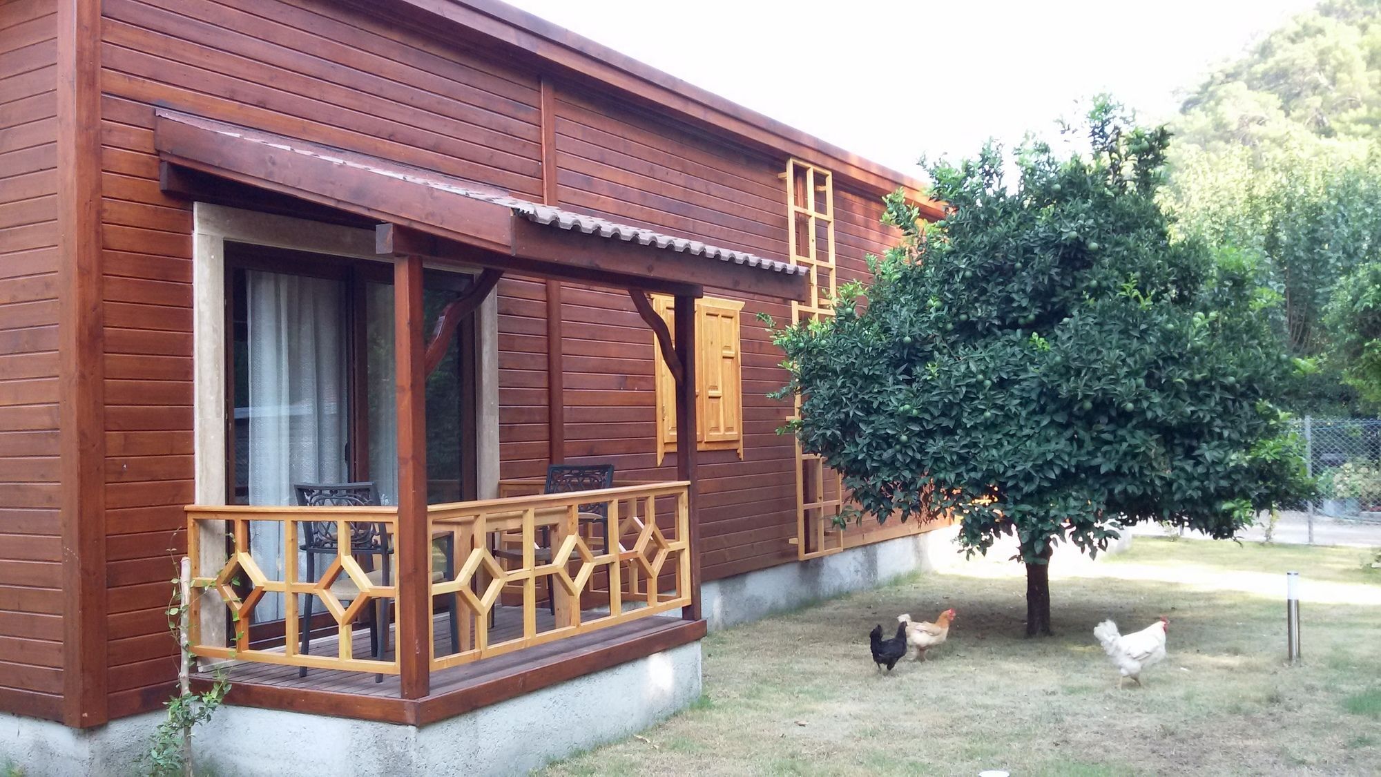 Maji Village Çıralı Exteriér fotografie